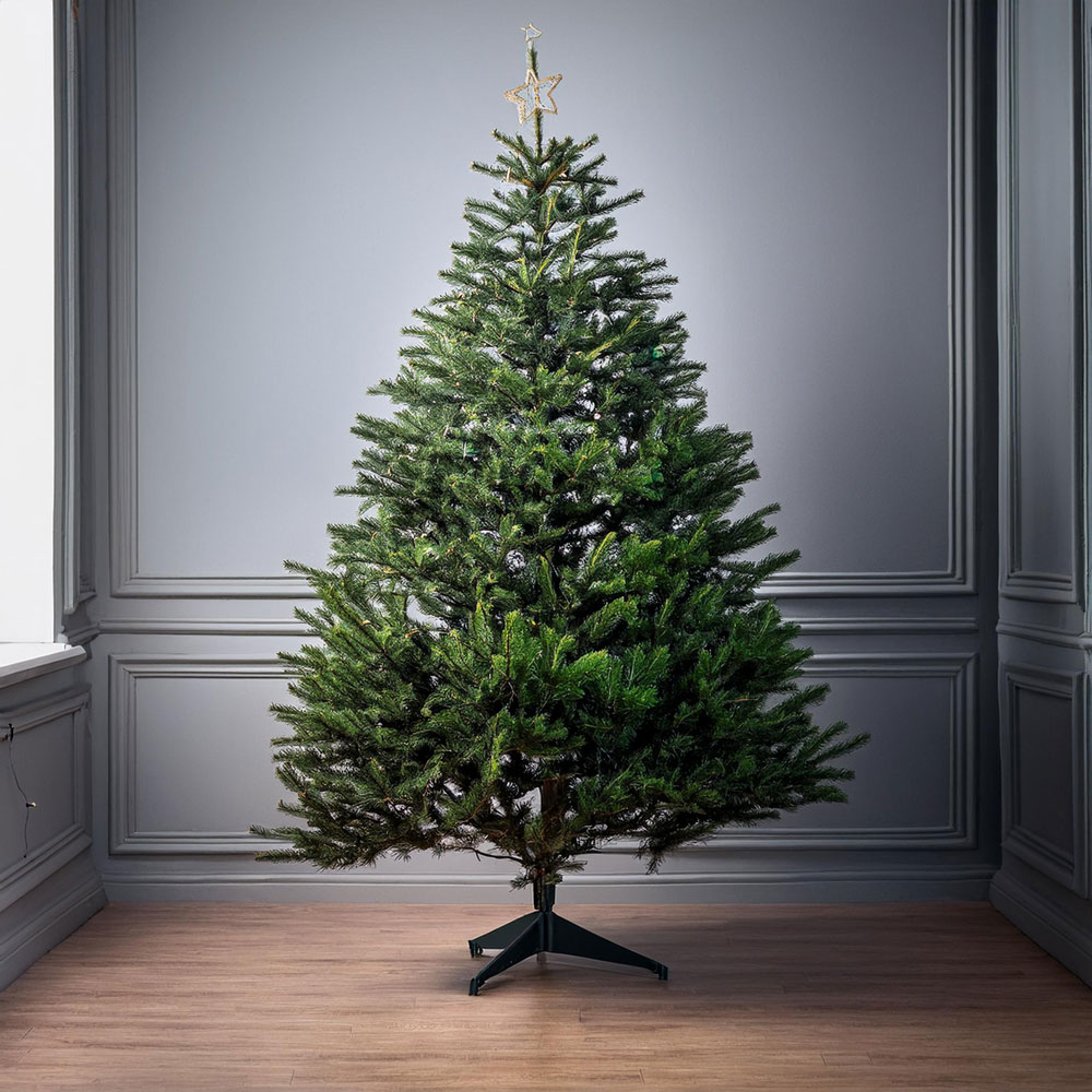 Christmas-Tree-Real.jpg