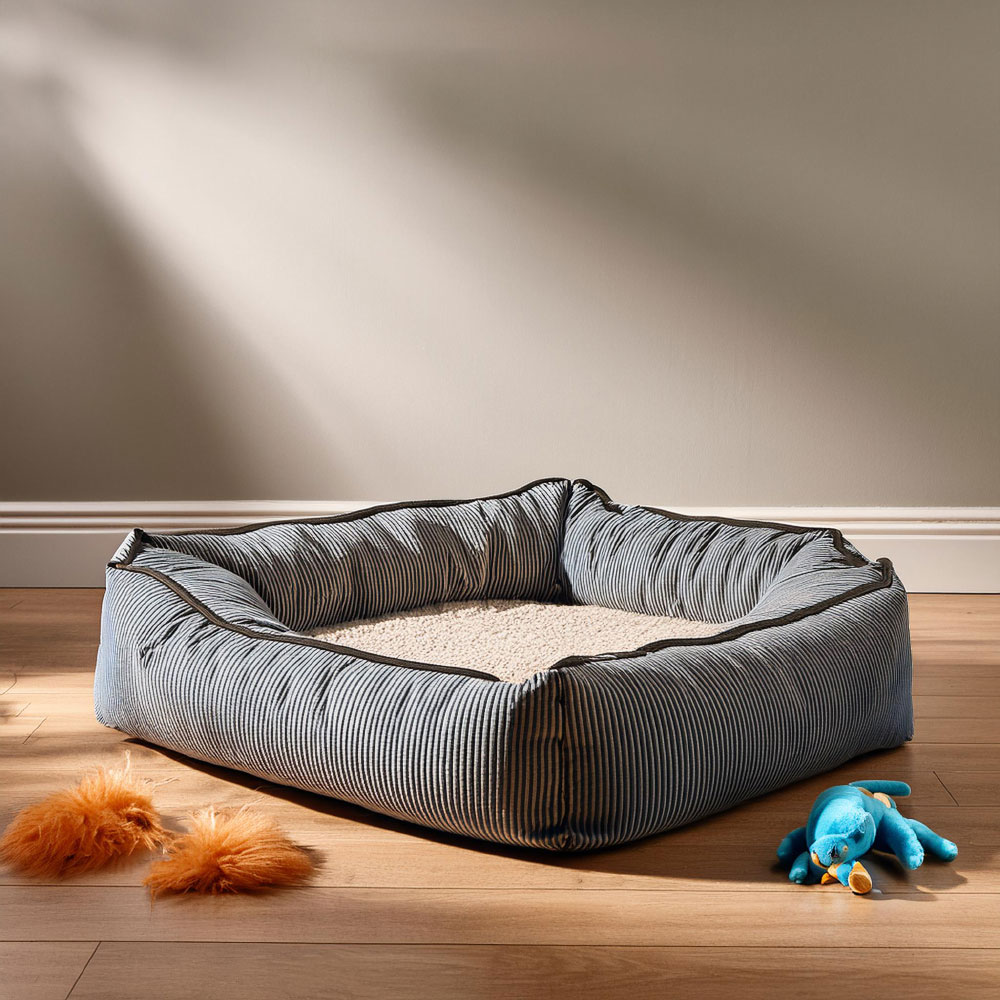 Pet-Bed-and-Toys.jpg