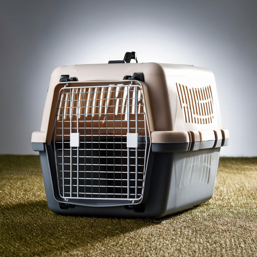 Plastic-Pet-Carrier.jpg